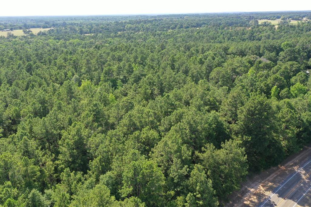 Absolutely beautiful 8.839 +/- Acre wooded tract ready for your New Home site. Mature Pine trees on the land, with trails thru the property & around the perimeter for easy viewing. Approximately 500' of road frontage on FM 228. Looking for land in Slocum ISD school district-here it is.The property has no restrictions with electric line running thru the property and Consolidated Water at the road. Utilities to be confirmed by buyer to meet their utility needs. There is a current survey available. Please, ask to set up your own personal showing today.