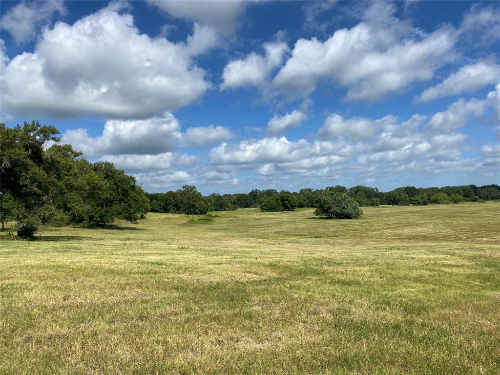 98.88 +/- Acres W Side of I-45, Centerville, TX 
