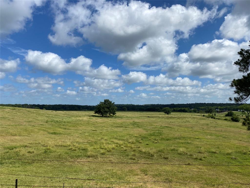 98.88 +/- Acres W Side Of I-45  , Centerville, Texas image 12