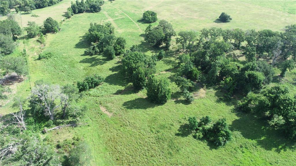 98.88 +/- Acres W Side Of I-45  , Centerville, Texas image 13
