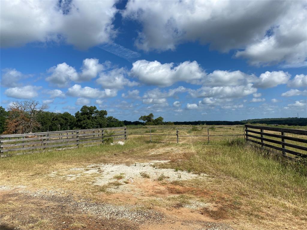 98.88 +/- Acres W Side Of I-45  , Centerville, Texas image 14