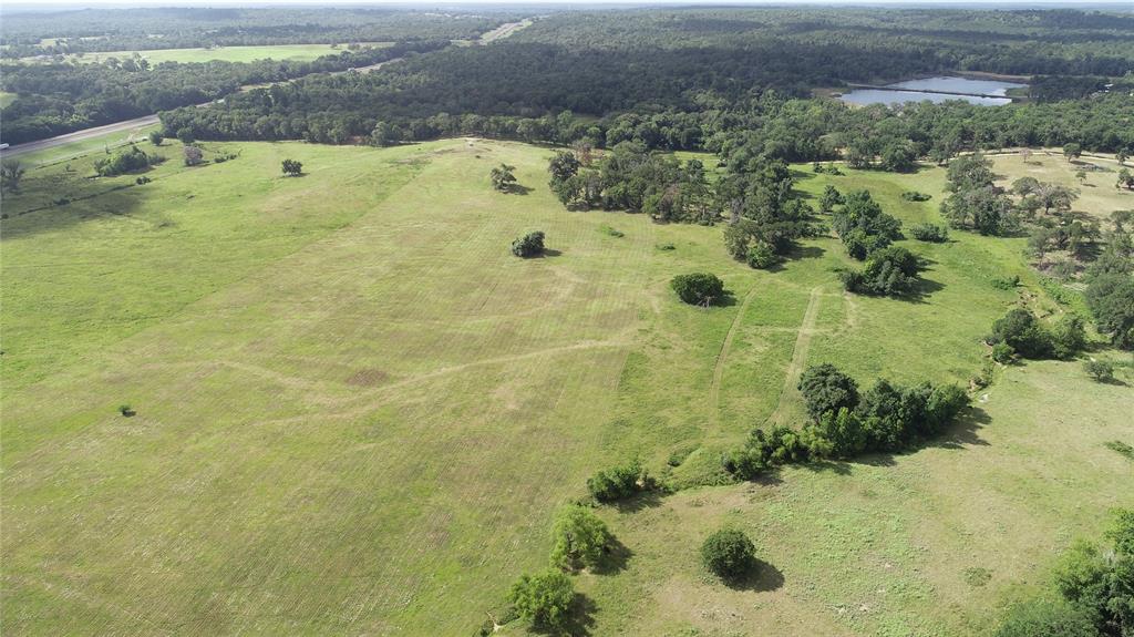 98.88 +/- Acres W Side Of I-45  , Centerville, Texas image 16
