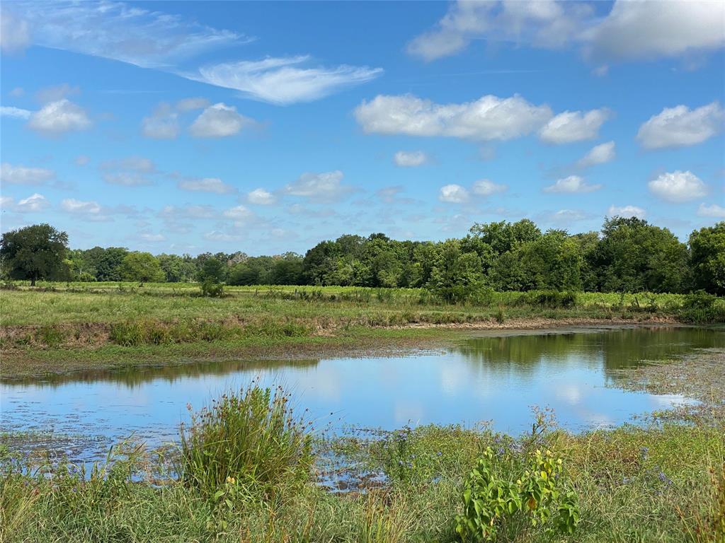 98.88 +/- Acres W Side Of I-45  , Centerville, Texas image 17