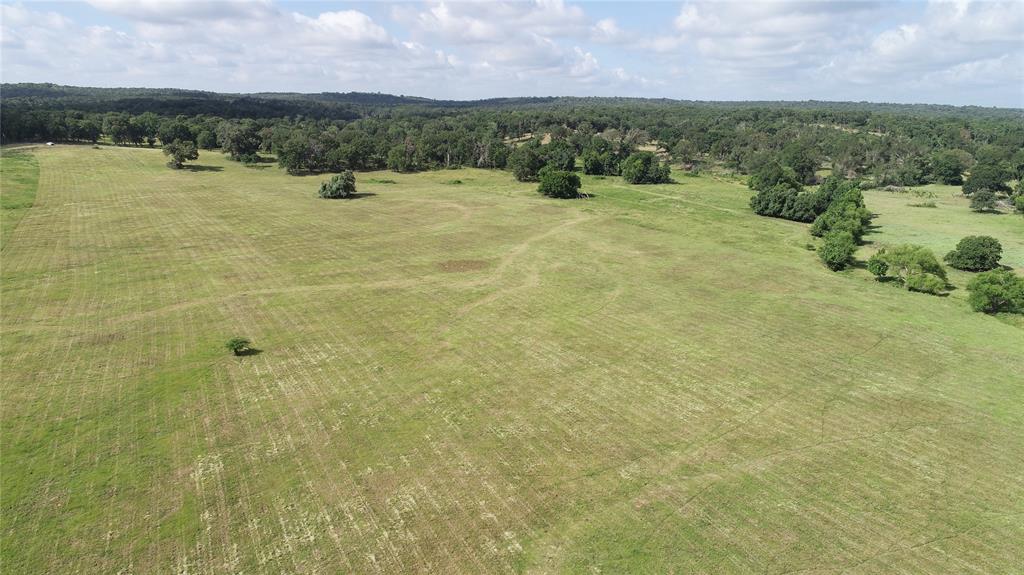 98.88 +/- Acres W Side Of I-45  , Centerville, Texas image 22