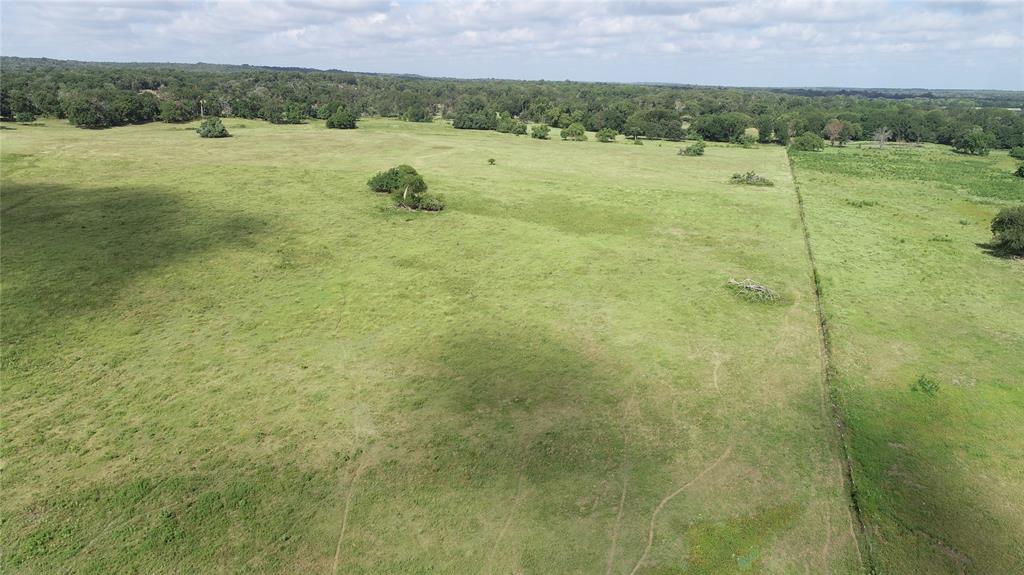 98.88 +/- Acres W Side Of I-45  , Centerville, Texas image 25