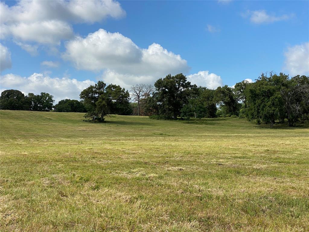 98.88 +/- Acres W Side Of I-45  , Centerville, Texas image 26