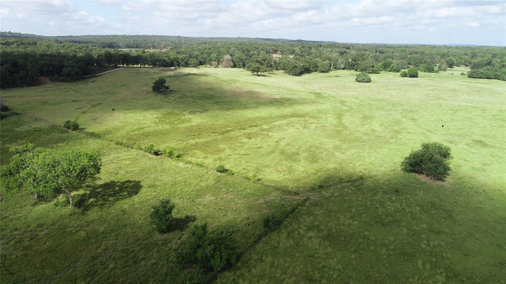 98.88 +/- Acres W Side Of I-45  , Centerville, Texas image 27