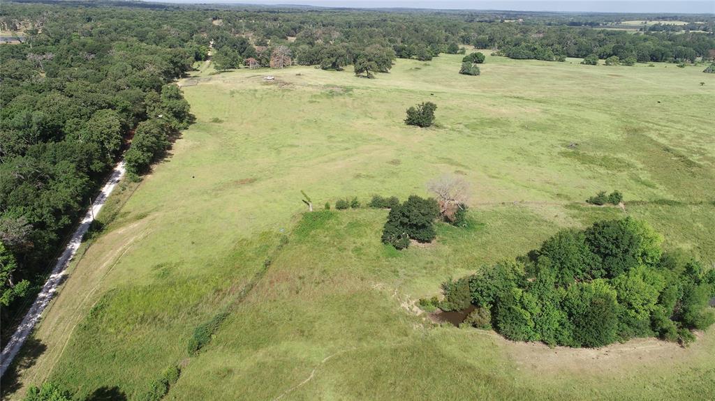 98.88 +/- Acres W Side Of I-45  , Centerville, Texas image 30