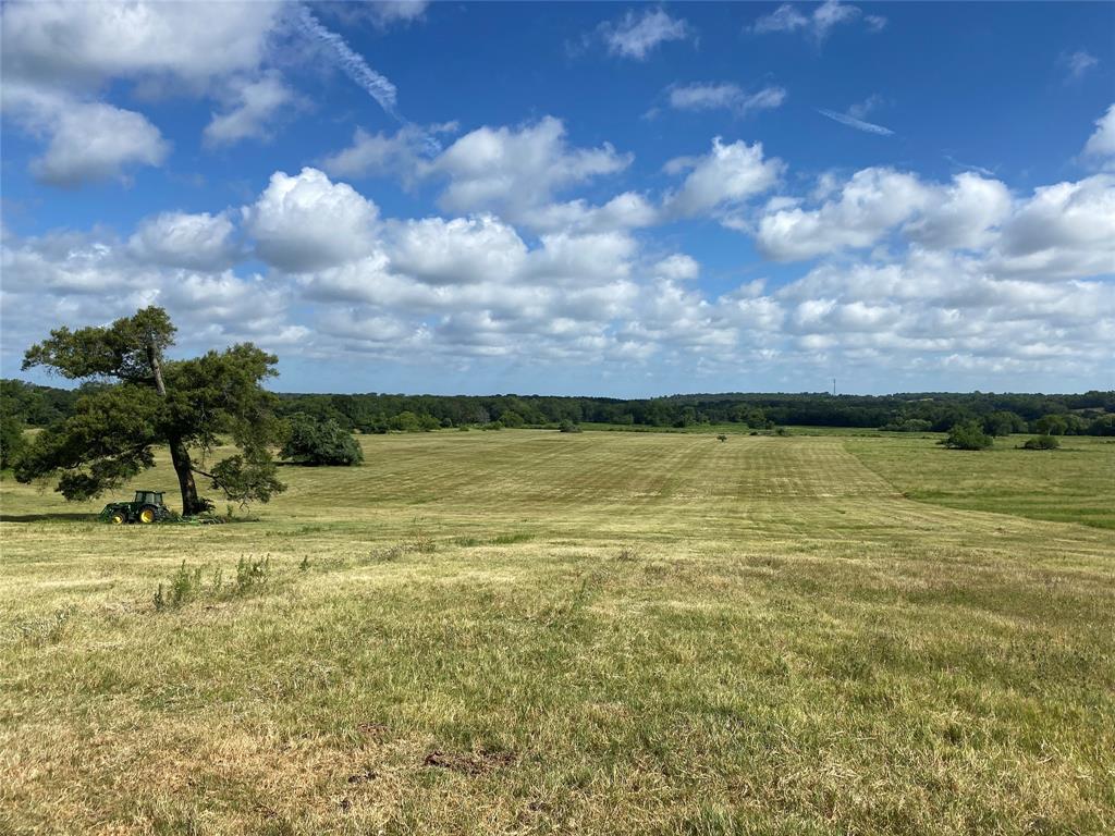 98.88 +/- Acres W Side Of I-45  , Centerville, Texas image 4