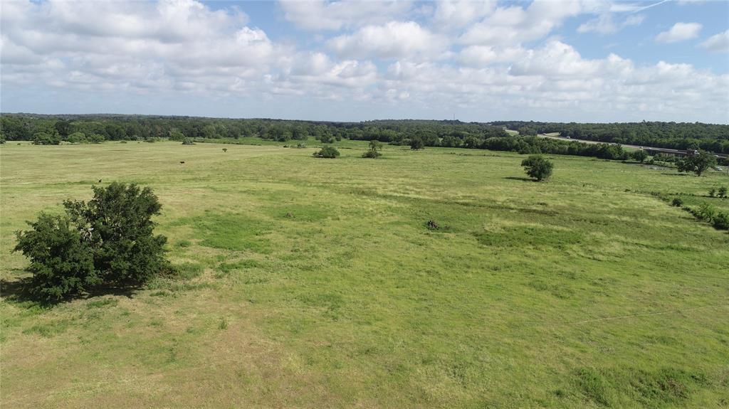 98.88 +/- Acres W Side Of I-45  , Centerville, Texas image 31