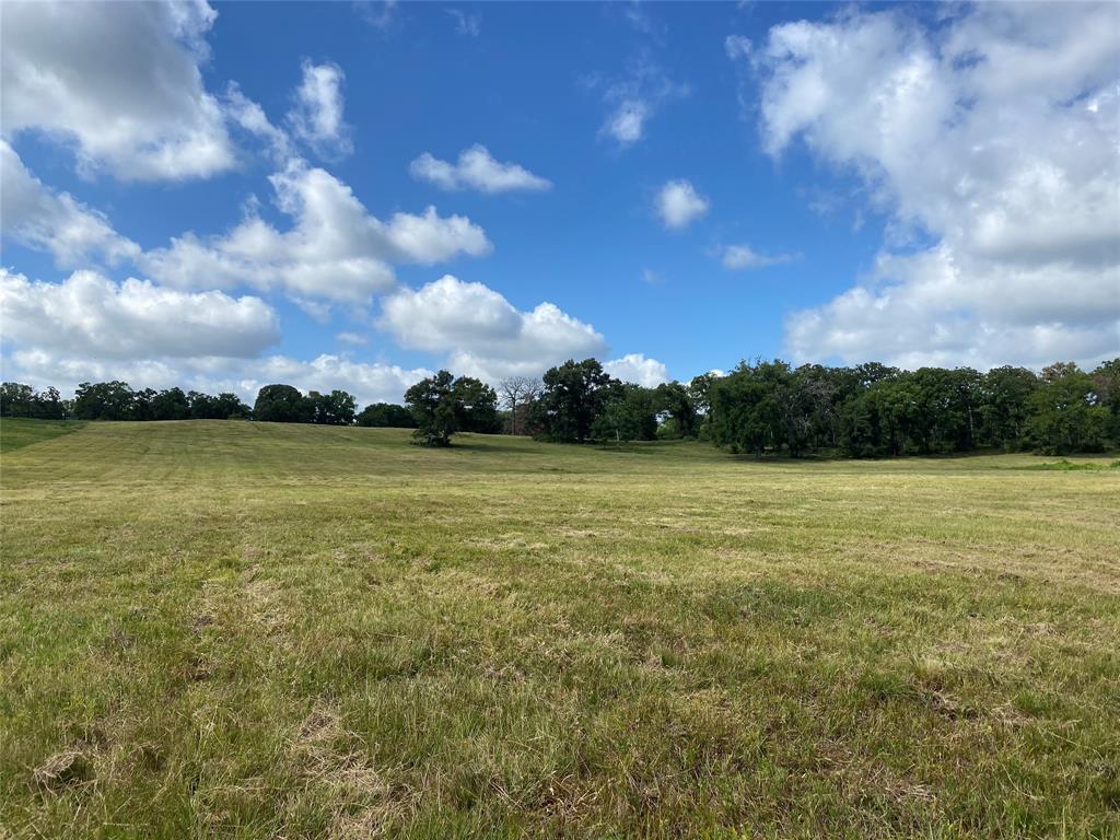98.88 +/- Acres W Side Of I-45  , Centerville, Texas image 34