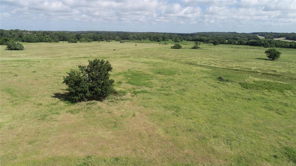 98.88 +/- Acres W Side Of I-45  , Centerville, Texas image 35