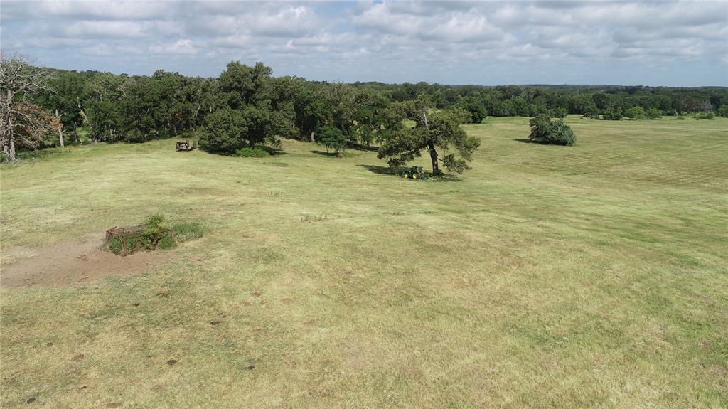 98.88 +/- Acres W Side Of I-45  , Centerville, Texas image 39