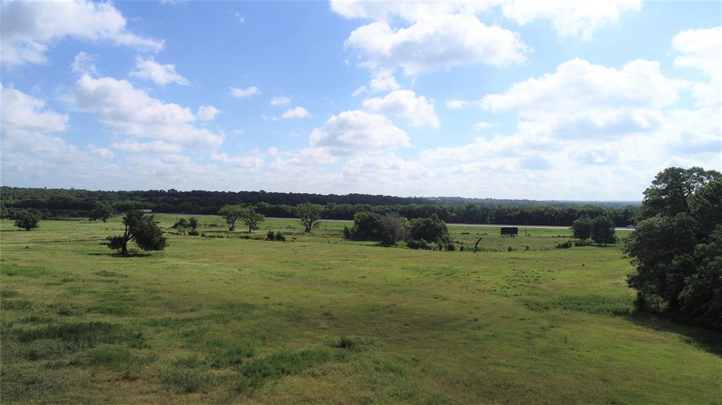 98.88 +/- Acres W Side Of I-45  , Centerville, Texas image 5