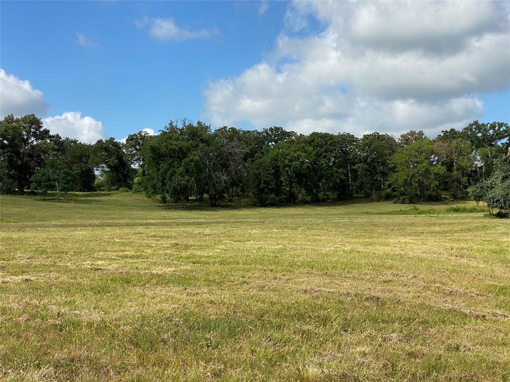 98.88 +/- Acres W Side Of I-45  , Centerville, Texas image 42