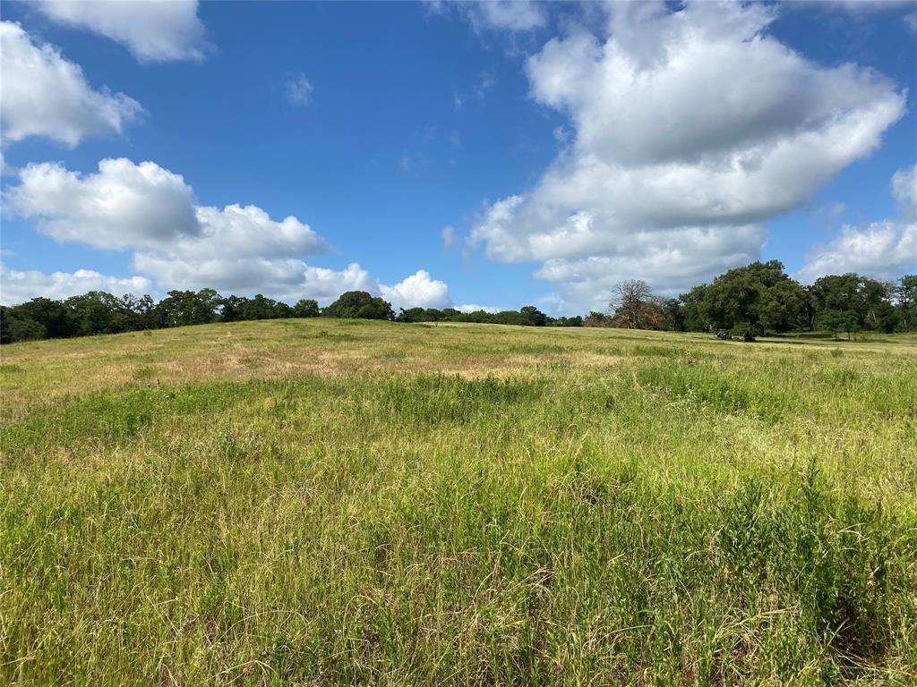 98.88 +/- Acres W Side Of I-45  , Centerville, Texas image 44