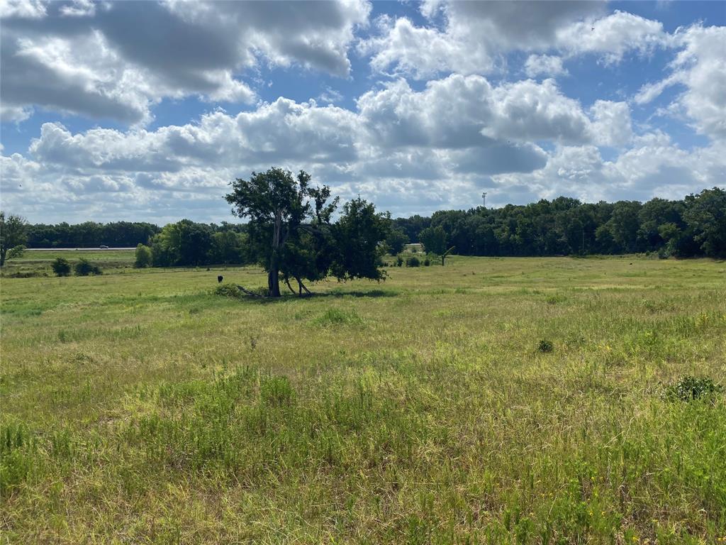 98.88 +/- Acres W Side Of I-45  , Centerville, Texas image 46