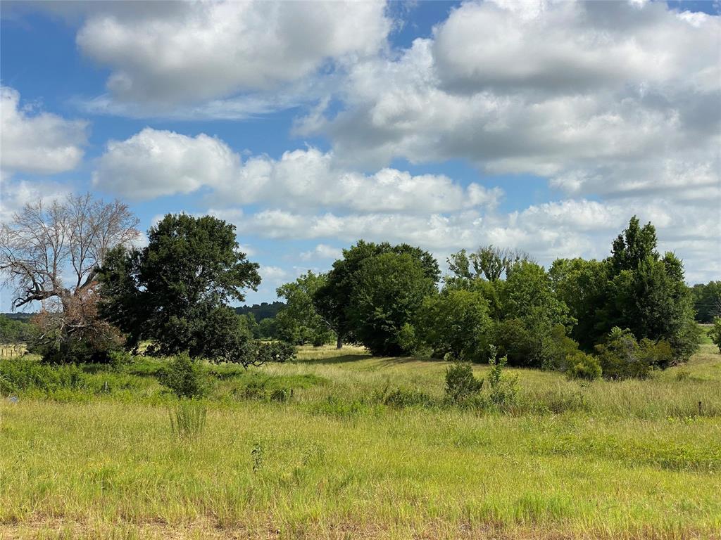 98.88 +/- Acres W Side Of I-45  , Centerville, Texas image 48
