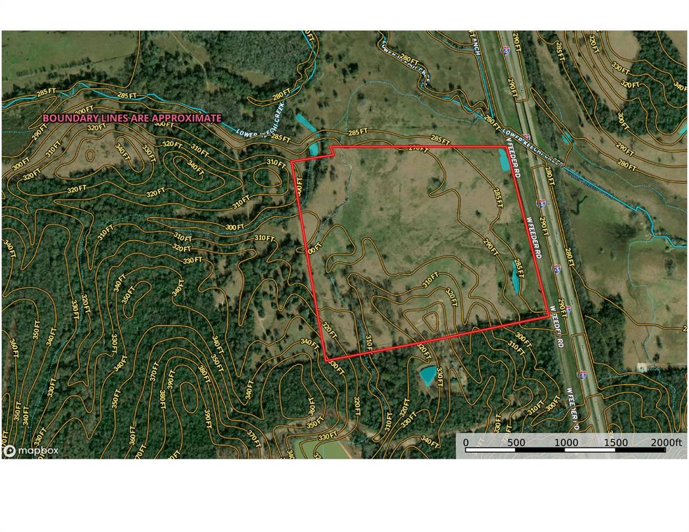 98.88 +/- Acres W Side Of I-45  , Centerville, Texas image 6