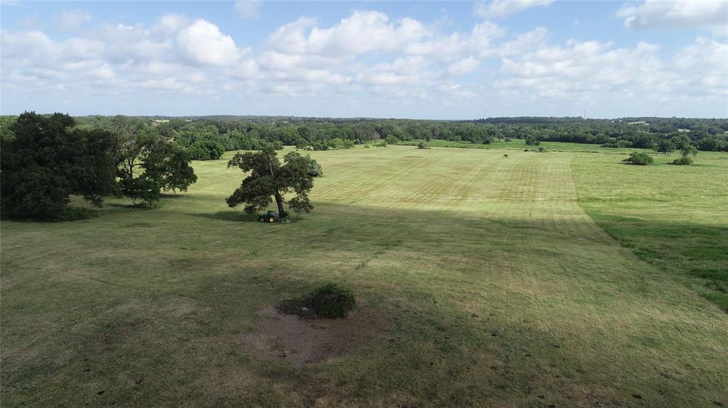 98.88 +/- Acres W Side Of I-45  , Centerville, Texas image 8