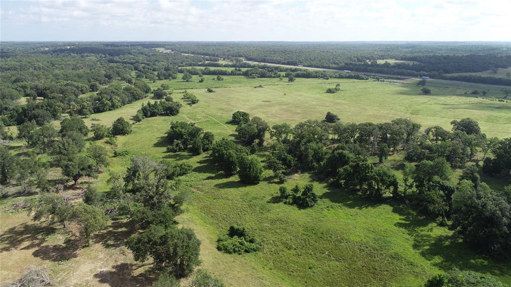 98.88 +/- Acres W Side Of I-45  , Centerville, Texas image 9