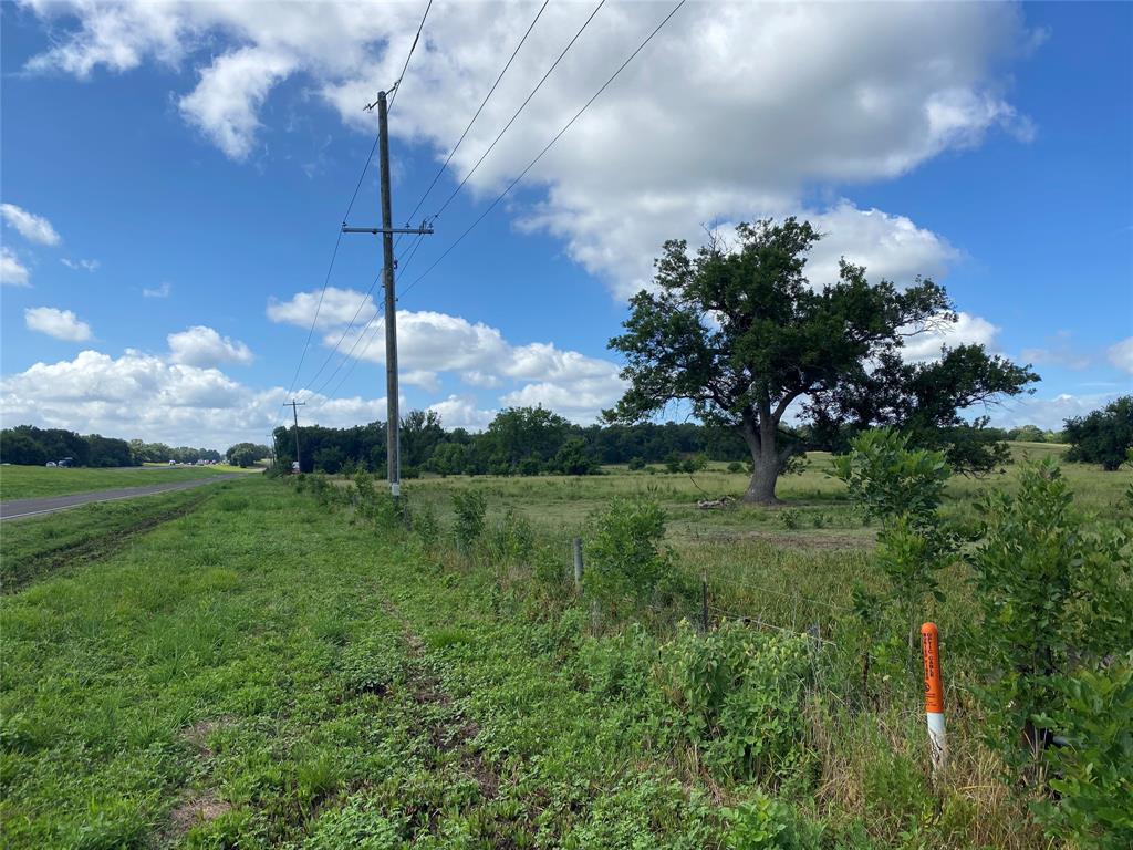 98.88 +/- Acres W Side Of I-45  , Centerville, Texas image 10