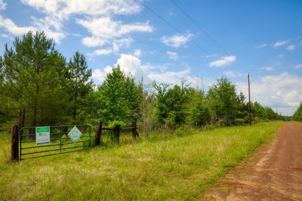 Approximately 662 acre Texas Tree Farm for sale in East Texas, near Palestine! Family owned for generations, consisting of sixcontiguous parcels totaling +/- 662.11 acres. Property boundaries are a mile of CR 335 frontage on west side, Brushy Creek on northside and 1/4 mile of CR 338 frontage on east side. This is an excellent opportunity for income producing acreage with outstandinghunting & recreational potential. This property is home to abundant wildlife, including whitetail deer. Pine timber has been professionallymanaged since 1950's and consists of approximately 10 year old pine, some naturally regenerated and others hand planted. Easyaccess to the entire property from two county roads with a number of interior roads traversing the property. Minerals are reserved.Looking for a retreat from the city? This is it! Just a short distance from Dallas, Houston, Austin, & Shreveport!