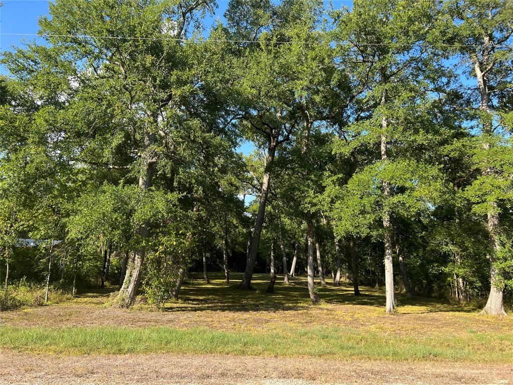 1070 County Road 165 Drive, Boling, TX 77420