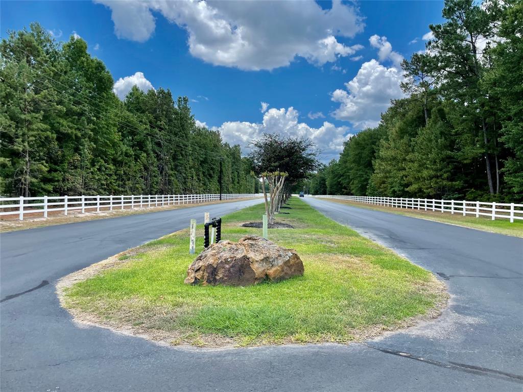 29363 Paint Lane, Waller TX 77484