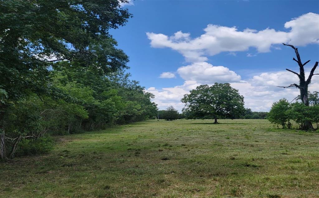 AMAZING opportunity to own 15.50 acres in a high and dry area of Tarkington. This property has never flooded, so it would be a great place to build your dream home.  With no restrictions, you can have horses, cows, or just peace and quiet, away from the hustle and bustle of the city. Don't wait, come see it for yourself. This opportunity will not last long.