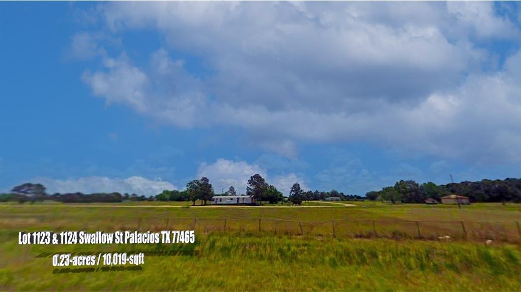 Lot 1123 & 1124  Swallow Street Palacios Texas 77465, 54