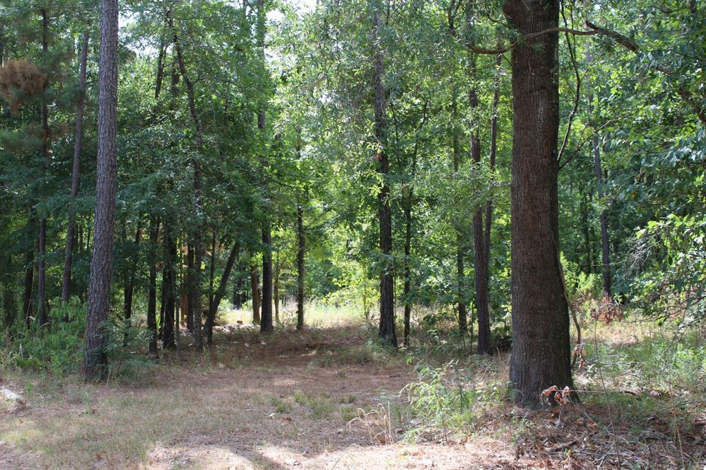 Beautiful Wooded 5 Acres with a Two- Story, 3 Bedroom, 1 Bath Home that Needs to be Completed! This Home has Plenty of Potential, Just Needs You! Lots of Wildlife on this Property, Close to Lake Livingston, Could be a Great Retreat! Call Today to Book Your Appointment!  ( PRICE REDUCED )