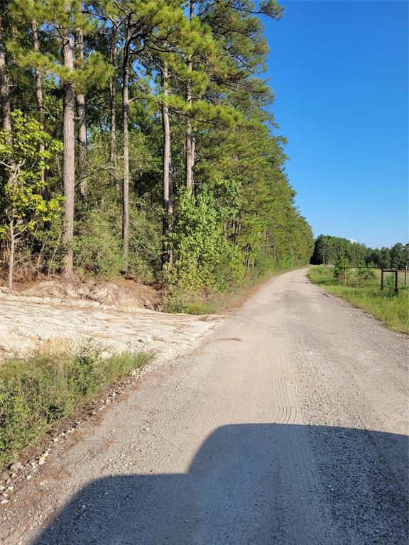 Owners have recently cleared part of the property ( approximately 2 acres) to build a home site. This is 11.6 acres of beautiful and recently surveyed land. Save money upfront by not having the initial expense of digging a well and connect to Trinity Rural Water Supply.  There is an utility easement located on the side of the property for water well maintenance. This will also allow you to see the back of the property.