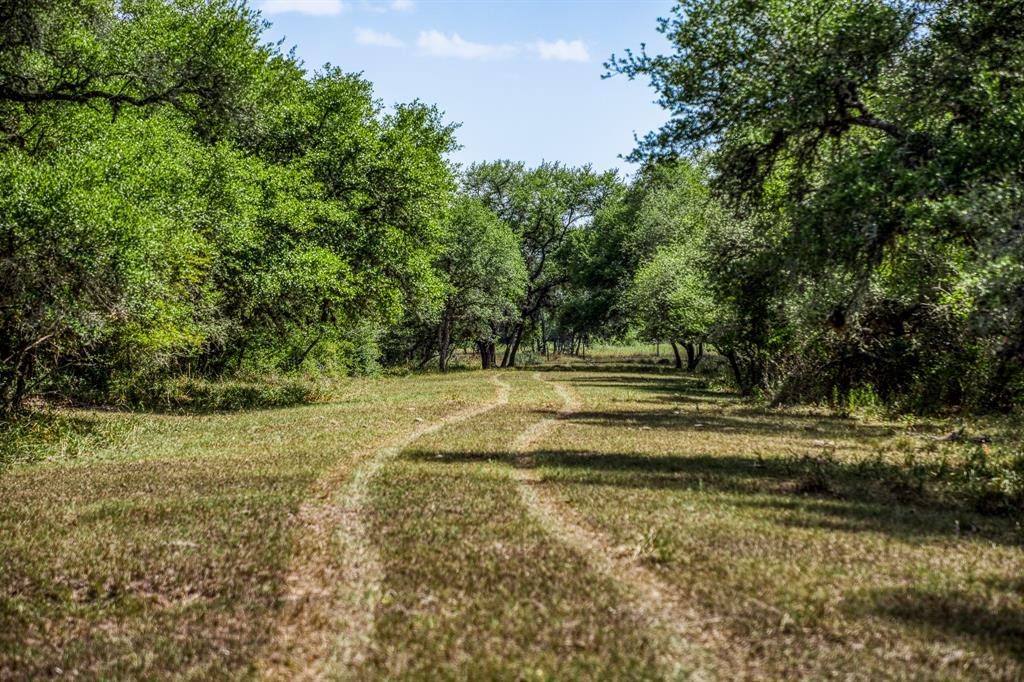 00  County Road 15a  Hallettsville Texas 77964, 68