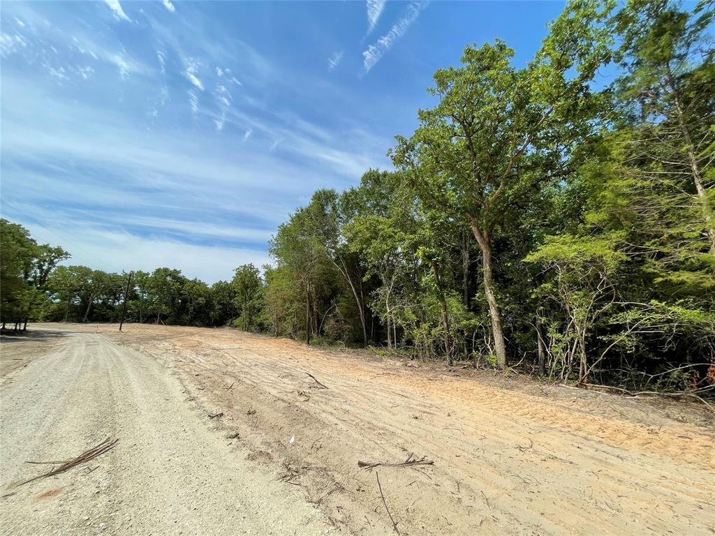 TBD Tract 12 Private Road 207  , Fairfield, Texas image 18