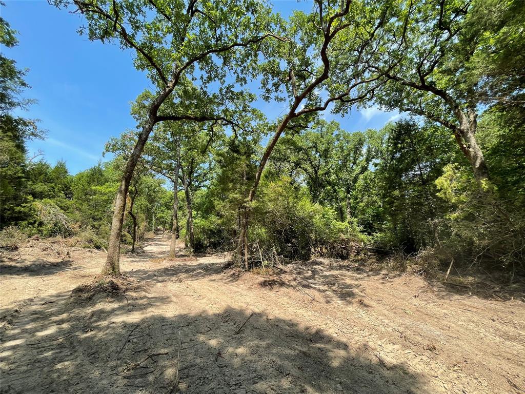 TBD Tract 12 Private Road 207  , Fairfield, Texas image 6