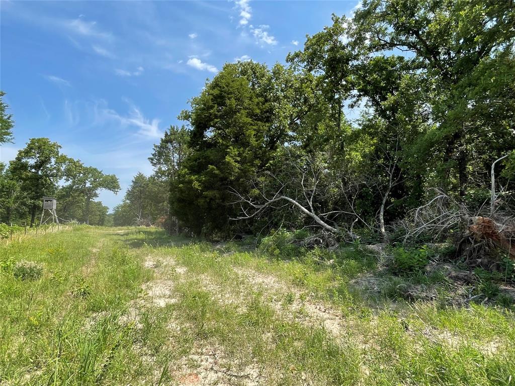 TBD Tract 12 Private Road 207  , Fairfield, Texas image 8