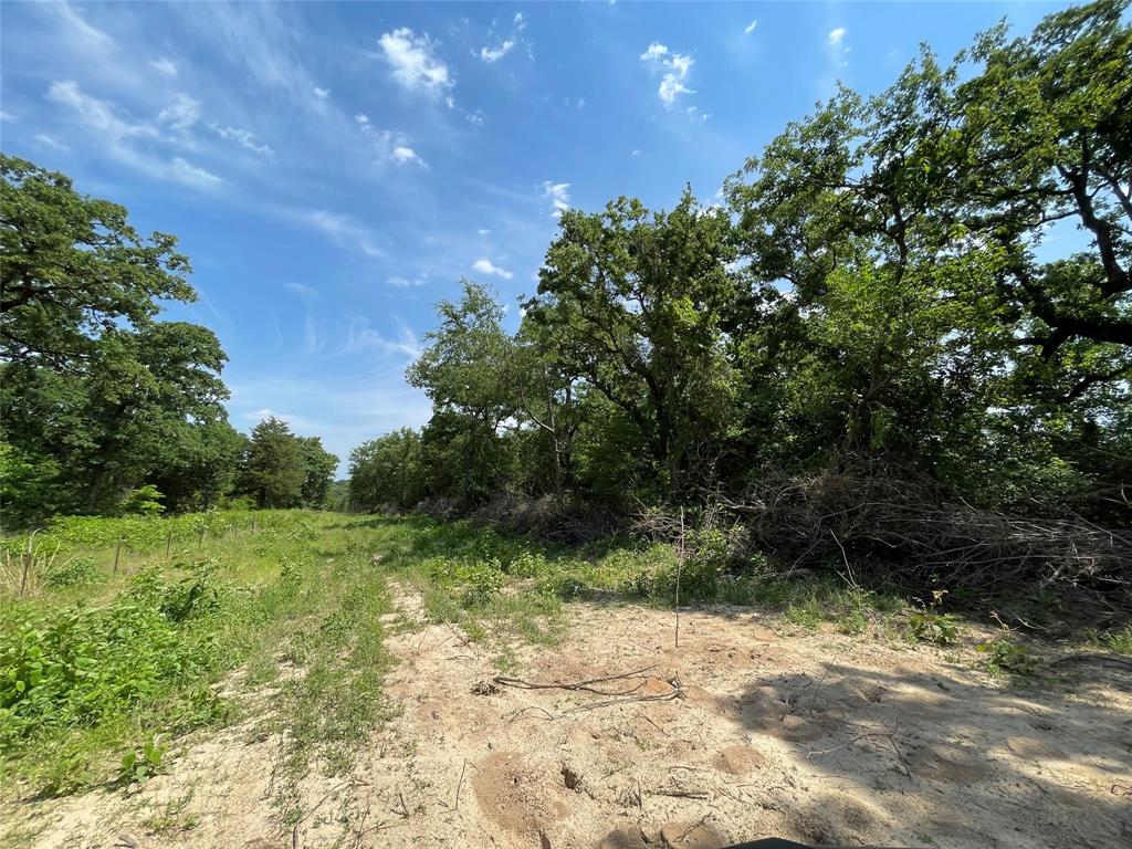 TBD Tract 12 Private Road 207  , Fairfield, Texas image 9