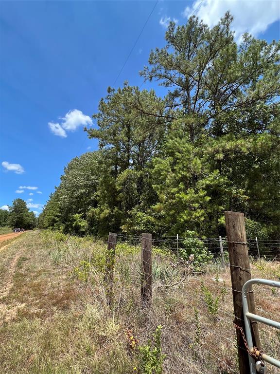 Secluded Unrestricted 11 +/- Acres that can be a blank canvas for a future homesite or recreational property. Property features a water well, wooded and open areas and electricity.