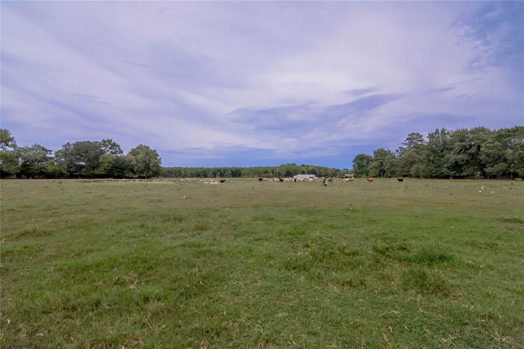 Pasture, cattle grazing, future homesite? The possibilities are endless with this 10 acres in Groveton TX. There are 2 barns on site as well as a pond. Great location close to town and neighbors nearby. Looking for more? Ask about the attached 29+/- acres with a house behind the property.