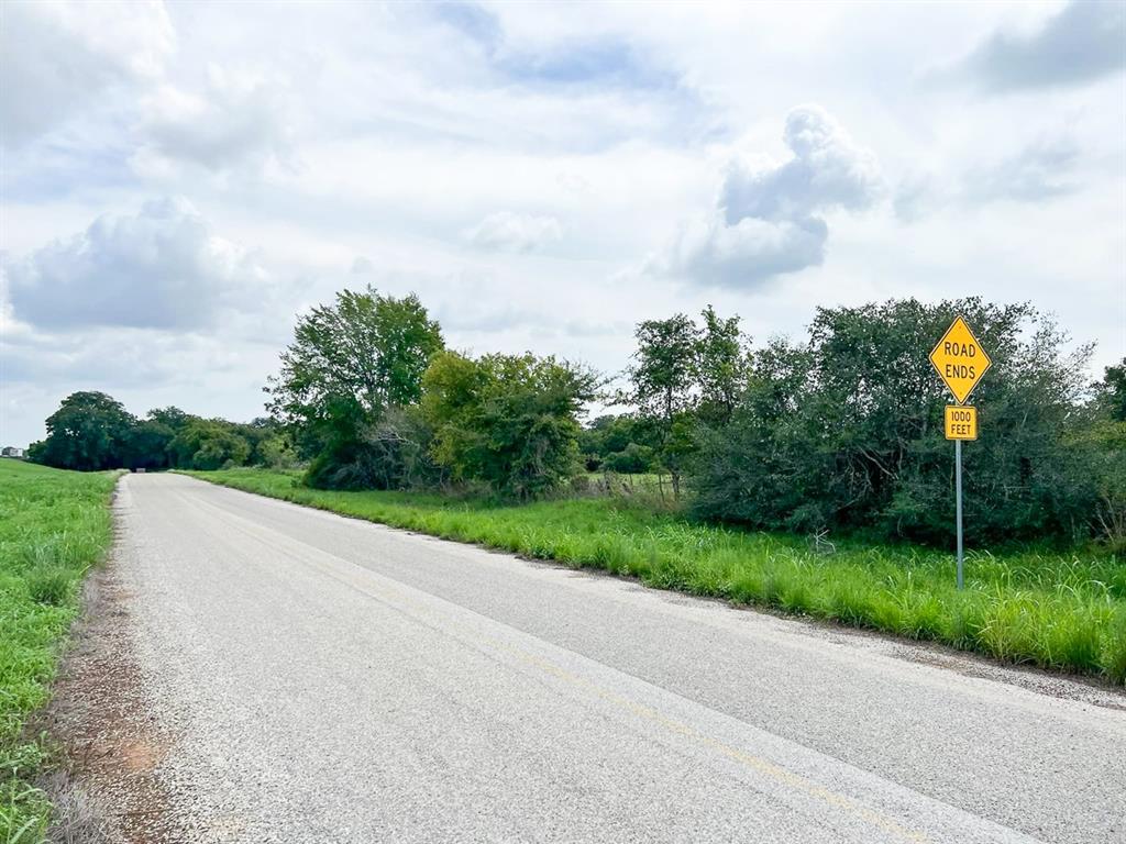 20.07 +/- acres with double frontage ready for your touch! Come build your residence or move your manufactured home onto this perfectly mixed pasture/wooded property. With wet weather creeks, easy access to Interstate 10, and beautiful adjoining properties, you’ll find yourself right at home here on this tract. Just minutes to Luling and Flatonia, not far from Schulenburg, and under an hour to New Braunfels. Just over an hour to San Antonio. 
Don’t hesitate to reach out with any further questions or interests!