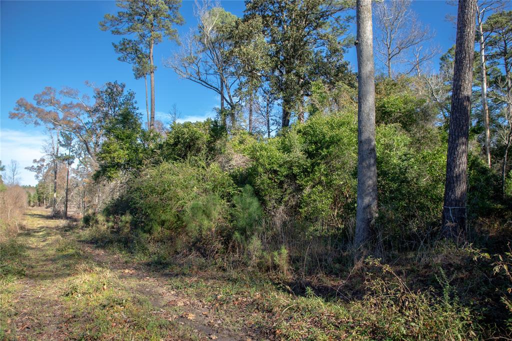 This beautiful, secluded wooded 5.04-acre tract is ready for you to make it yours! 
Sculpt it into your next country dream home or vacation camp spot destination. There are endless opportunities with this tract! No HOA, No restrictions!