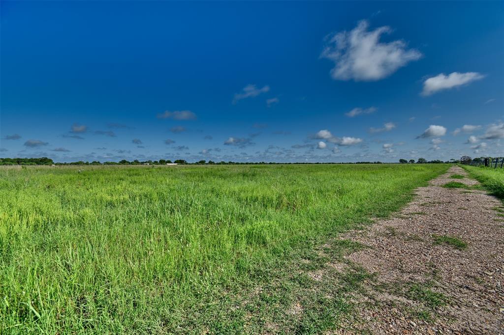 1922 Fm 1875  , Beasley, Texas image 33