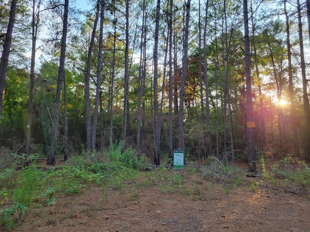 TBD  Honeylocust Lane Plantersville Texas 77363, Plantersville