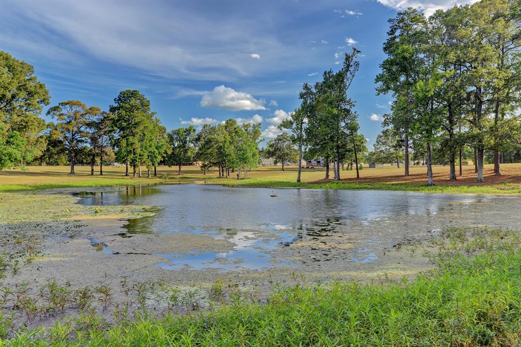A fabulous view of one of the lakes looking towards the barns. What a great place to fish!