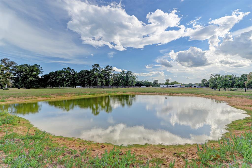 A view of another lake in the main pasture.