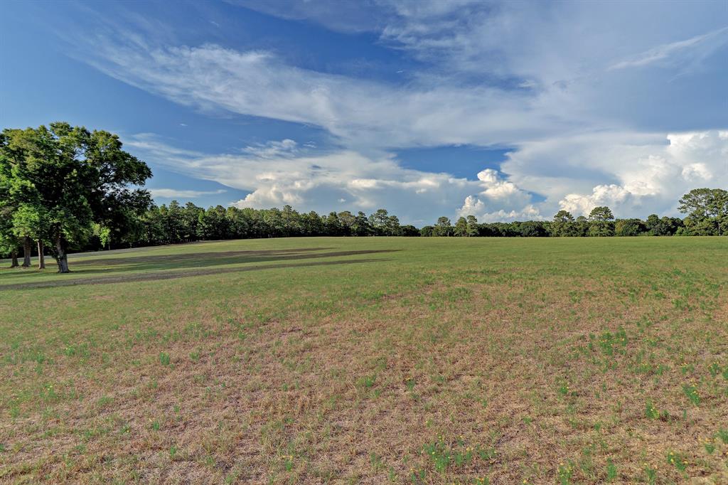 A view of the main rolling pasture. The grass is plentiful for grazing and haying.