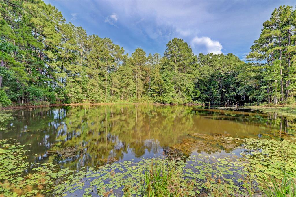 This is the third lake located a back of the farm and adjoins the Sam Houston National Park at the far end. It is such a serene and peaceful place to be.