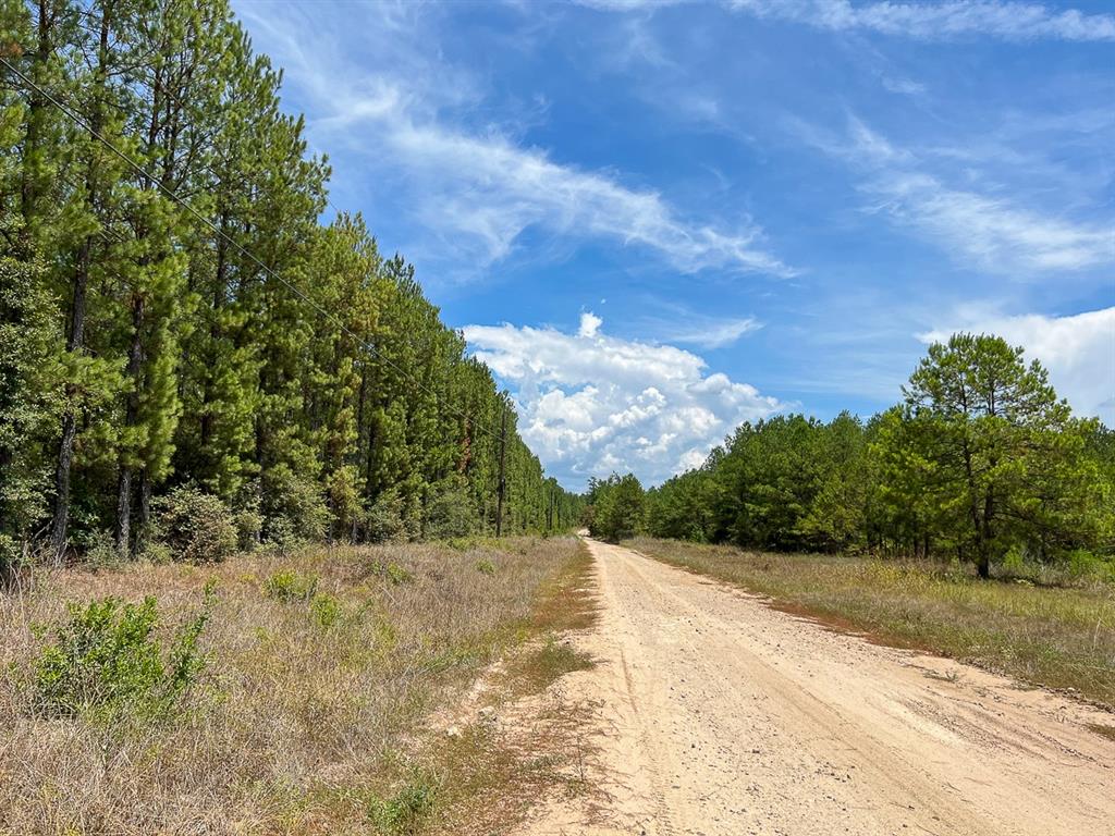 Lost Indian Camp Road  , Huntsville, Texas image 6