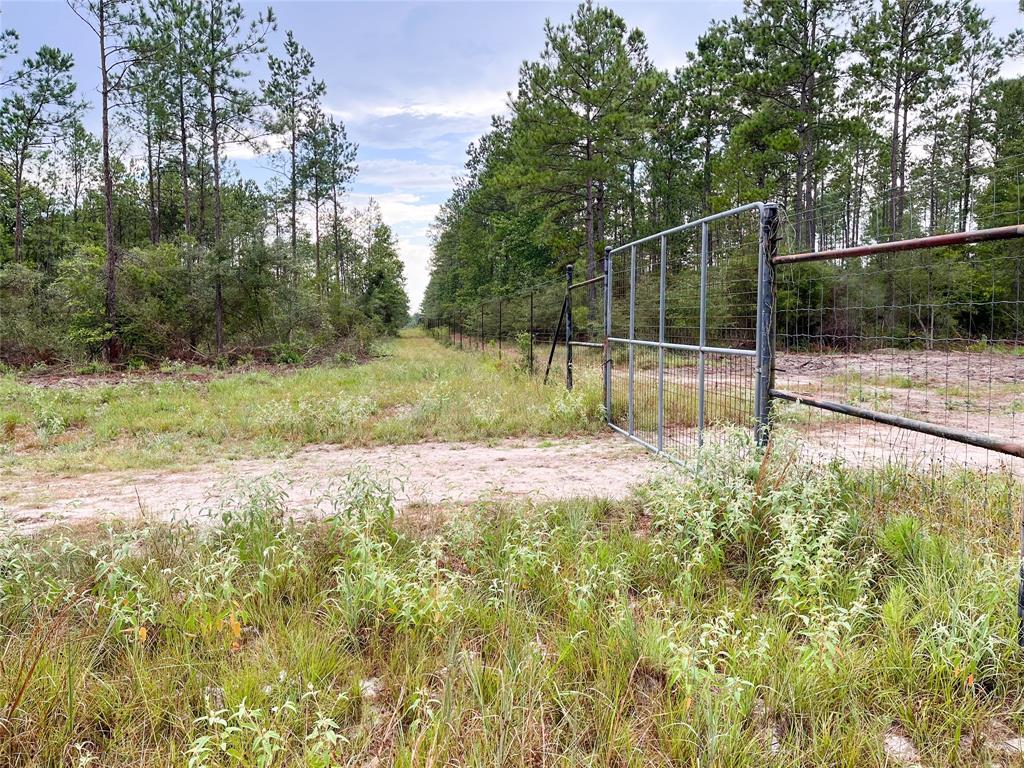 15 Acres!  Country living at it's best.  Paved county road frontage.  High fenced on three sides.  No restrictions.  Convenient location, not far from town.